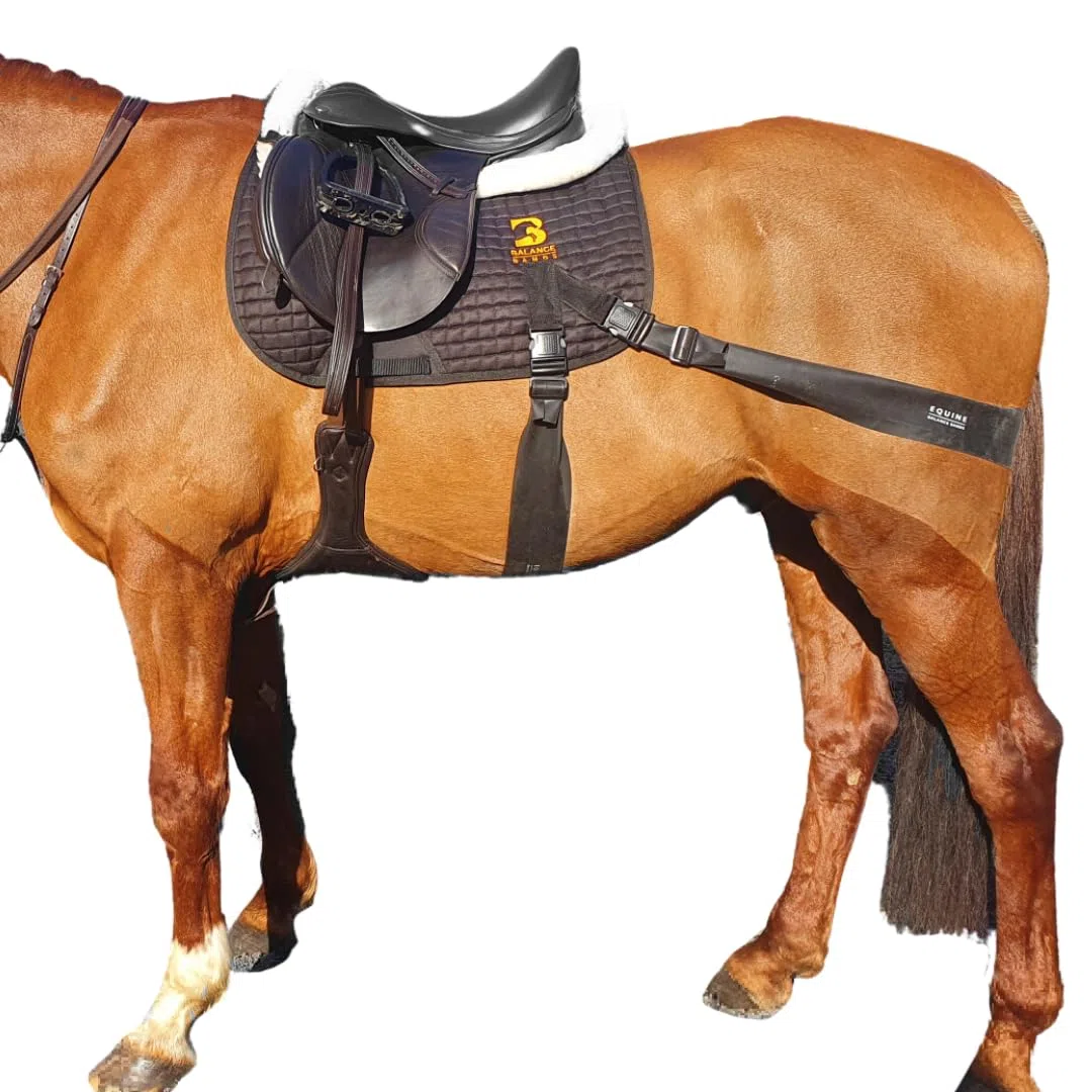 Sistema de banda equina. Ayuda de entrenamiento básico para zancadas y montar a caballo. Almohadilla multiusos y bandas de grado profesional Equine Balance Bands.