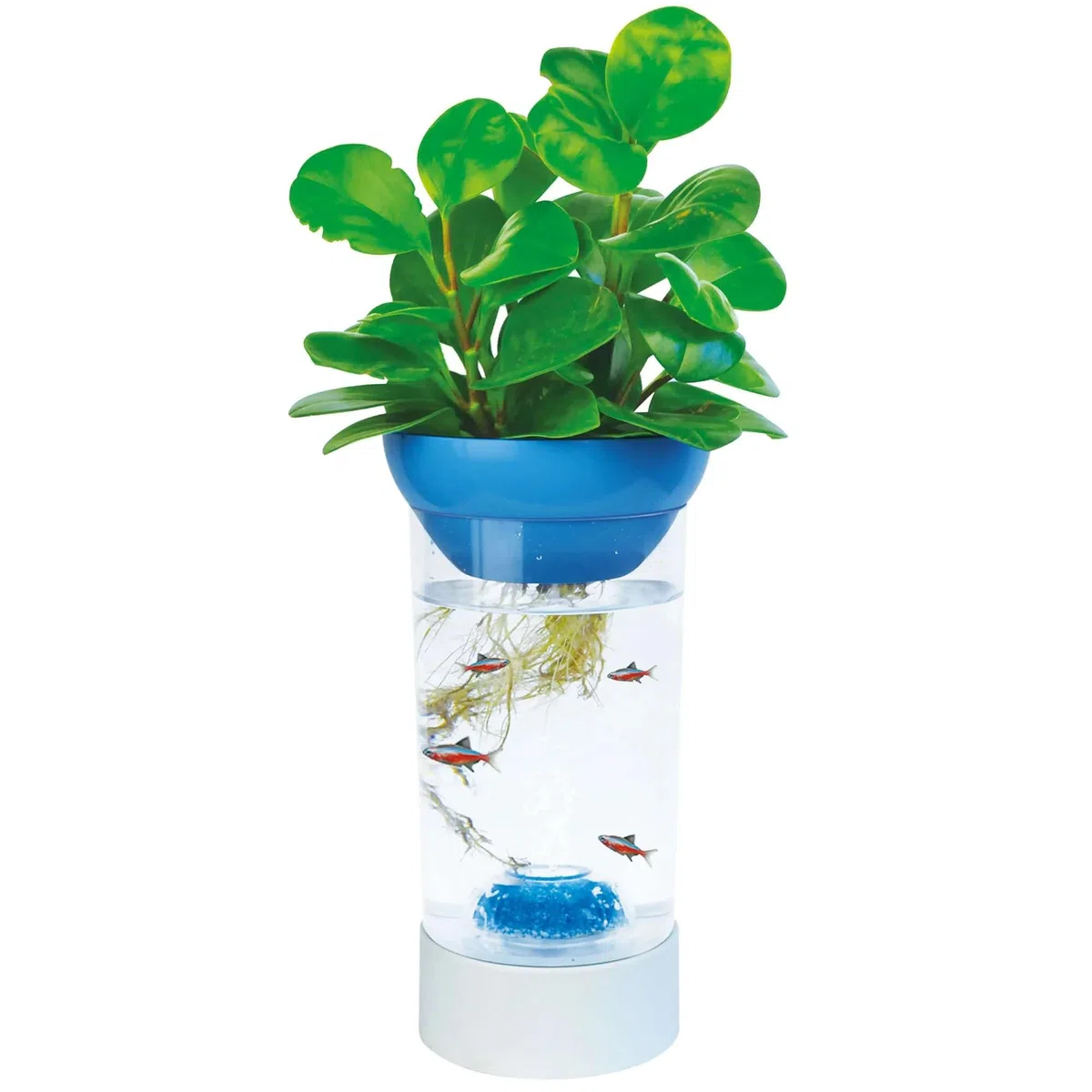 Kit Pecera/Betera Nature 1.2 L - Sistema de Acuaponía para Plantas y Animales Acuáticos, Azul