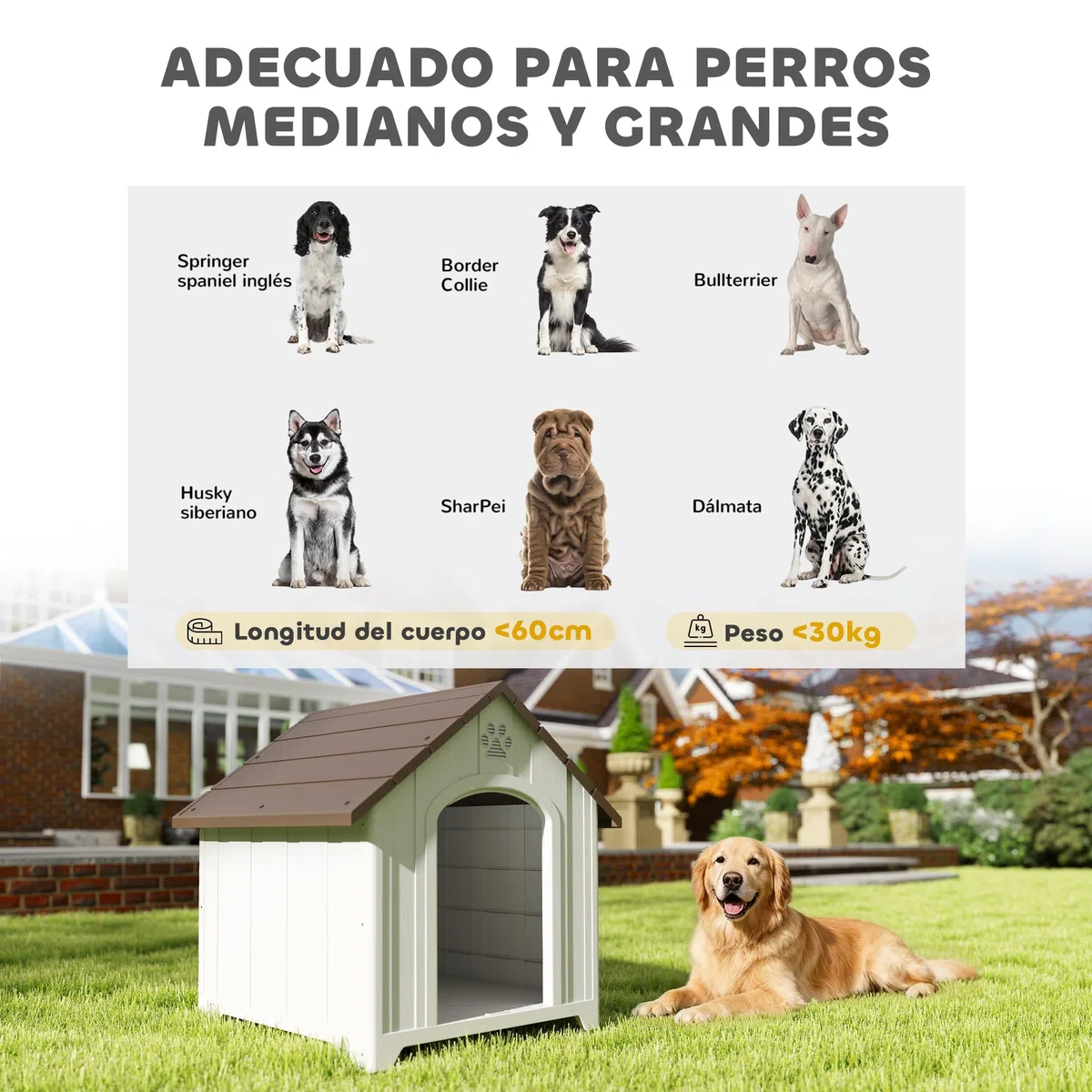 PawHut Caseta para Perros Exterior, Casa para Perros Grandes de Plástico Impermeable con 2 Ventanas, Base Elevada, Estacas, Fácil de Montar, 88x79x89 cm, Marrón Oscuro