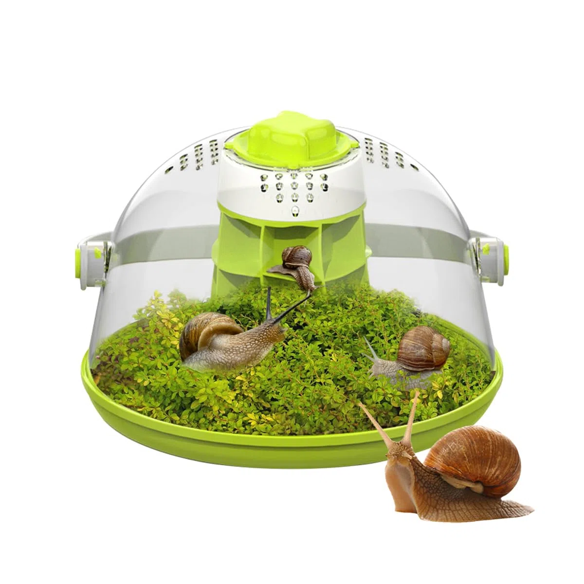 Caja de cría de terrarios de caracoles, kit de terrario redondo para iniciación de hábitat de caracoles, caja de alimentación de caracoles transparente, ideal para caracoles, escarabajos, arañas y