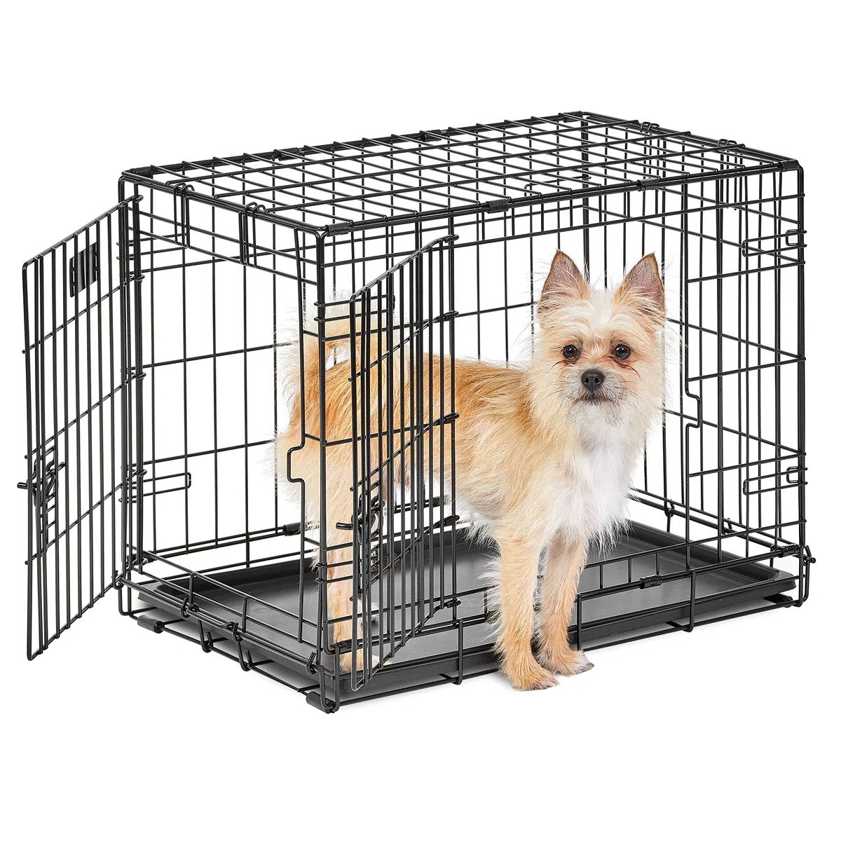MidWest Homes for Pets Small LifeStages - Jaula para perros de 61 cm cm plegable y de doble puerta, seguridad mejorada, incluye bandeja a prueba de fugas, panel divisor, asa, patas de goma