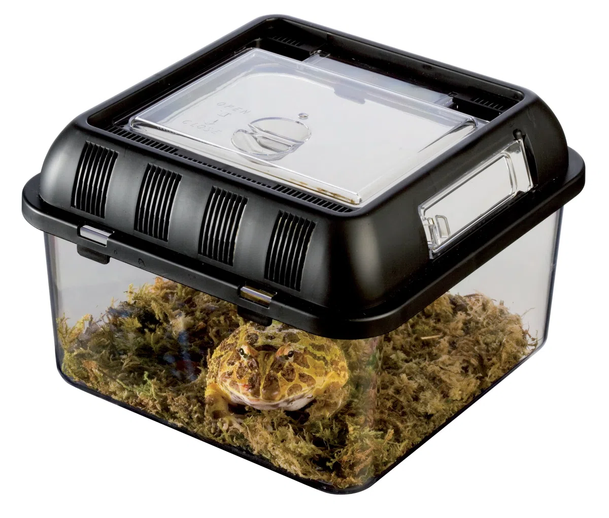 Exo Terra Caja de Cría Pequeña, 205 x 205 x 140 mm