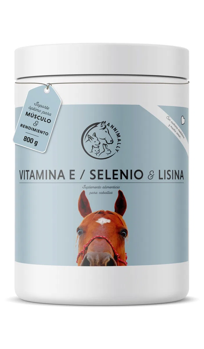 Annimally Selenio, Vitamina E, L-Lisina en Polvo para Caballos 800g - Complejo de Vitamina E, L-Lisina y Selenio para apoyar la Musculatura y el Rendimiento - Suplemento alimenticio para Caballos
