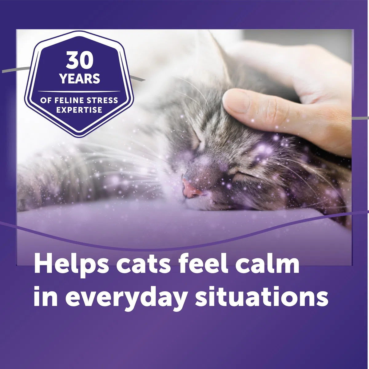 FELIWAY Optimum, Repuesto de feromonas calmantes mejoradas para 30 días, Paquete de 2