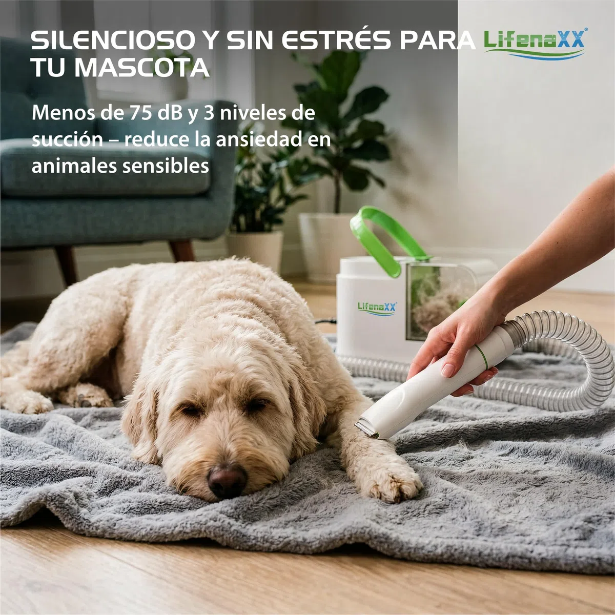 Lifenaxx Cortapelos para Mascotas 6 en 1 con Aspirador – Kit de Peluquería Silencioso para Perros y Gatos, Cortapelos Eléctrico con 6 Peines, Cepillo Desenredante, Cabezal de Masaje - LX-052