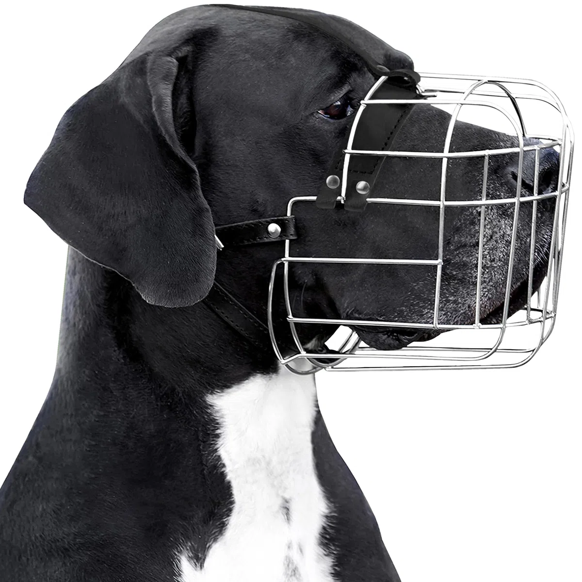 BronzeDog Bozal de Metal para Perro, Cesta de Alambre, máscara Transpirable con Correas de Cuero Ajustables, bozales para Perros extragrandes (XL)