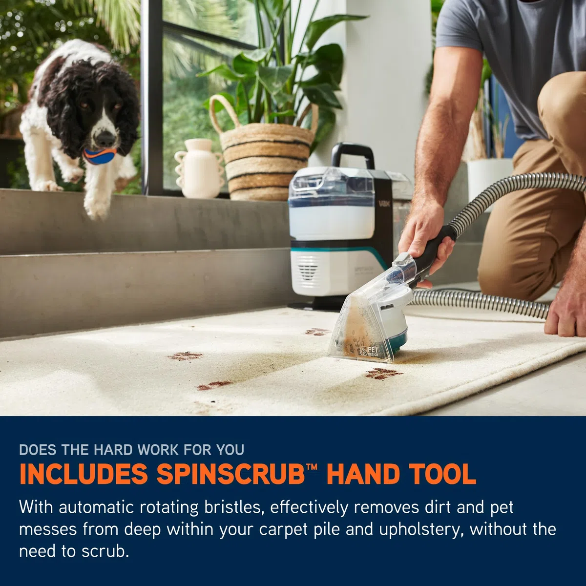 Limpiador de manchas Vax Spotwash Max Pet-Design | Nuestro SpotWasher más potente para hogares con mascotas | Tanques XL | Herramienta manual SpinScrub - CDSW-MSXP, blanco/azul
