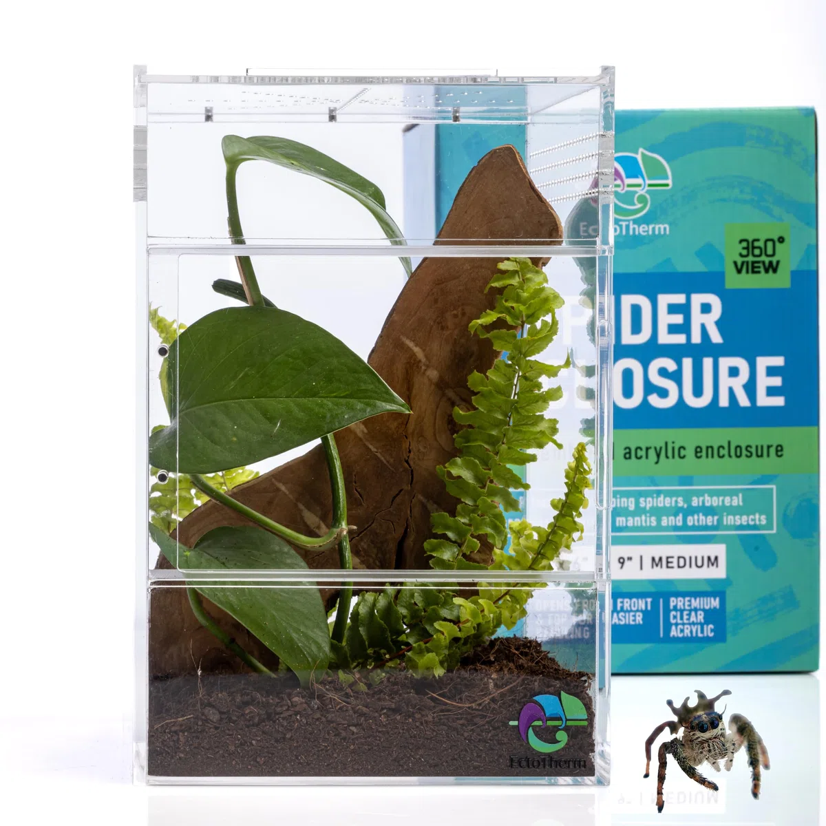 Recinto de araña saltadora, hábitat de araña saltadora, Kit de terrario de araña, Accesorios de recinto de araña Saltando, Jaula de araña, terrario de Insectos, terrario de Insectos, hábitat de