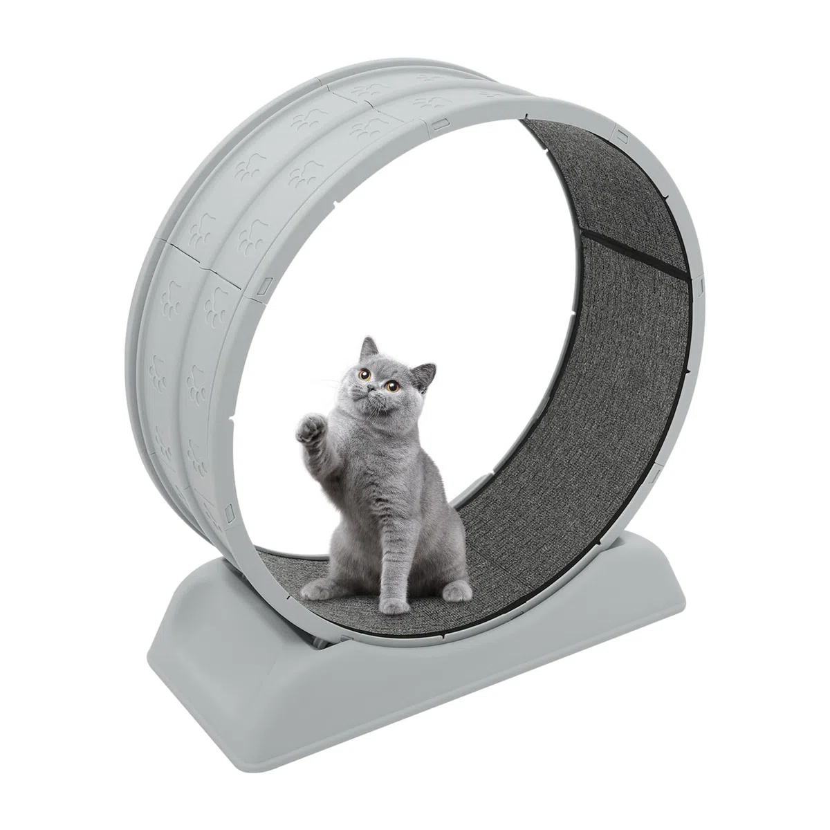 Bicicleta para gatos domésticos, cinta de correr para gatos, con alfombra extraíble y pesca para gatos, resistente a los arañazos, estable y silenciosa, adecuada para la mayoría de los gatos de