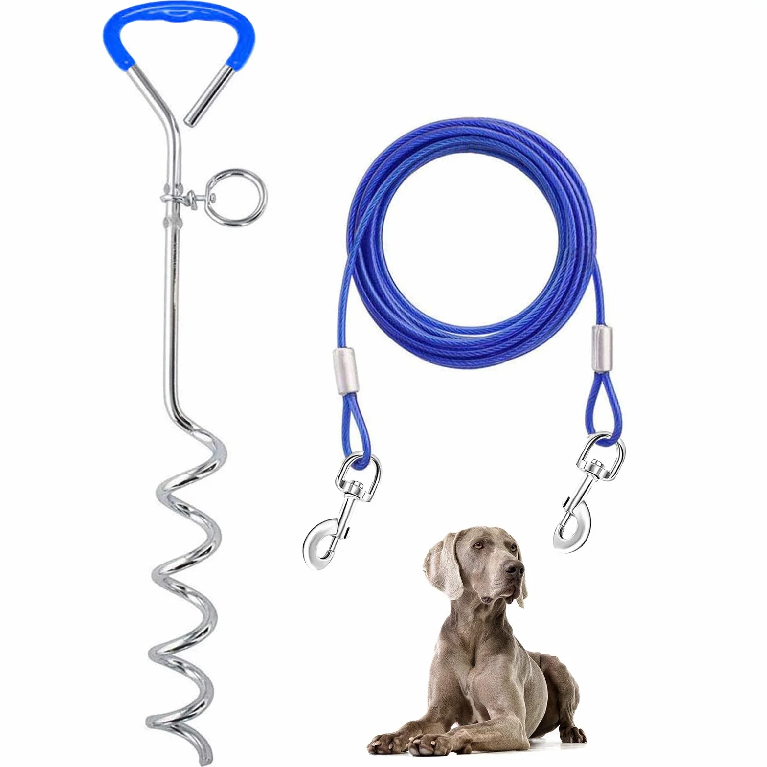 Supet - Set de Cables y estacas de fijación para Perros de Acero Inoxidable para Exteriores y Jardines