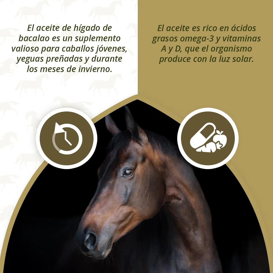EXCELLENT Suministros Para El Cuidado De La Salud Aceite De Hígado