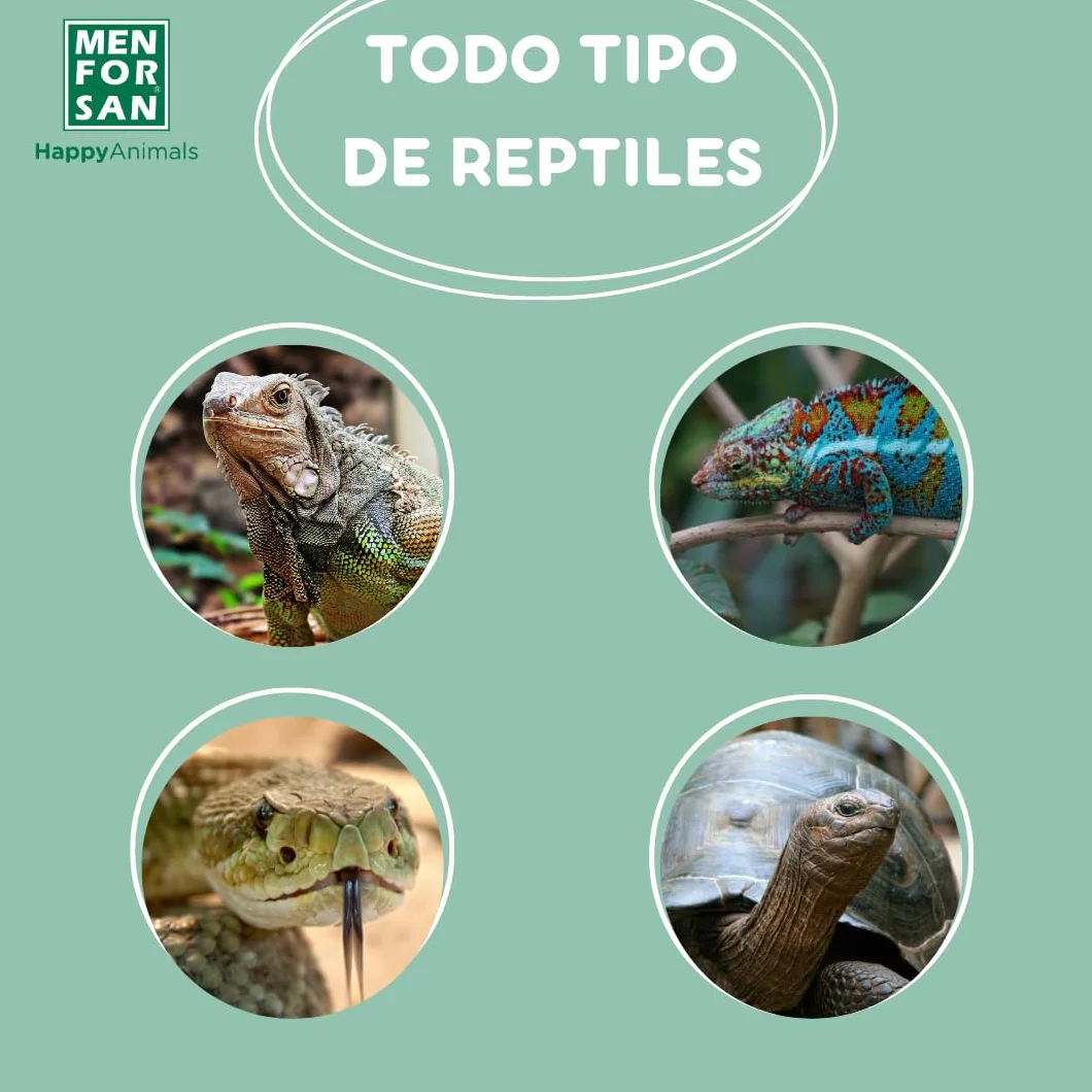 MENFORSAN Eliminador de olores terrarios | Elimina y Erradica los Malos olores | Fragancia Talco Natural | para el Entorno de Cualquier Reptil | 250 ml