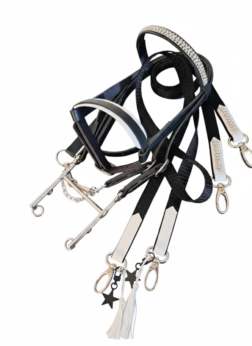 Generisch Hobby Horse Trense Kandare, negro, sin caballo, solo accesorio para hobbyhorsing, accesorio para caballos de juguete, trense de juguete, trense de juguete