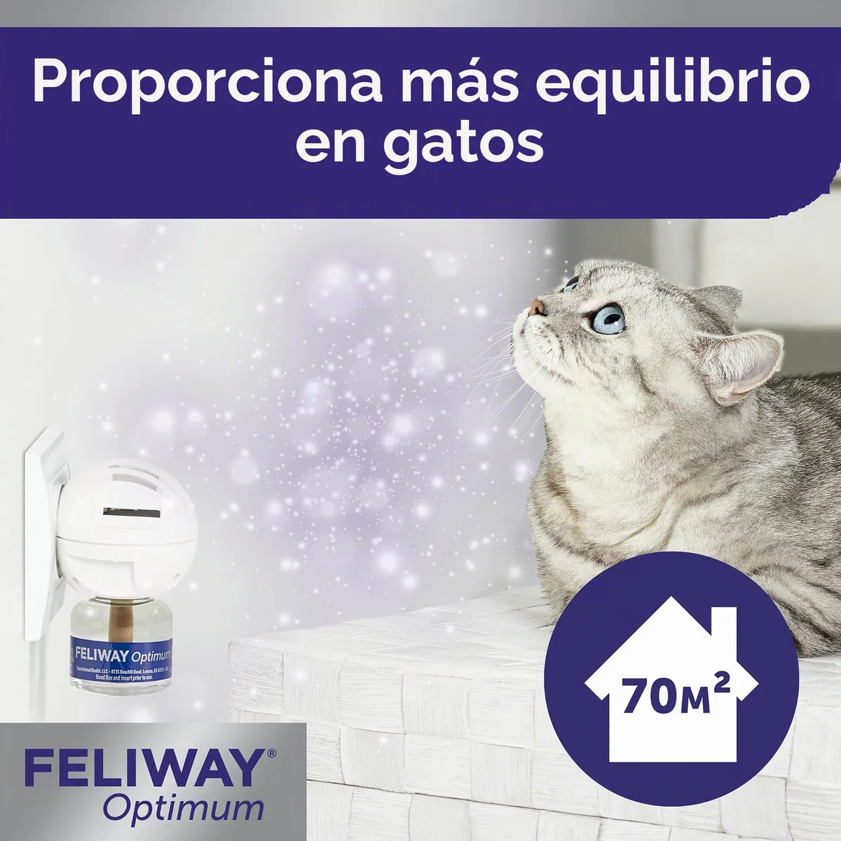 Feliway Optimum Pack 3 Recambios