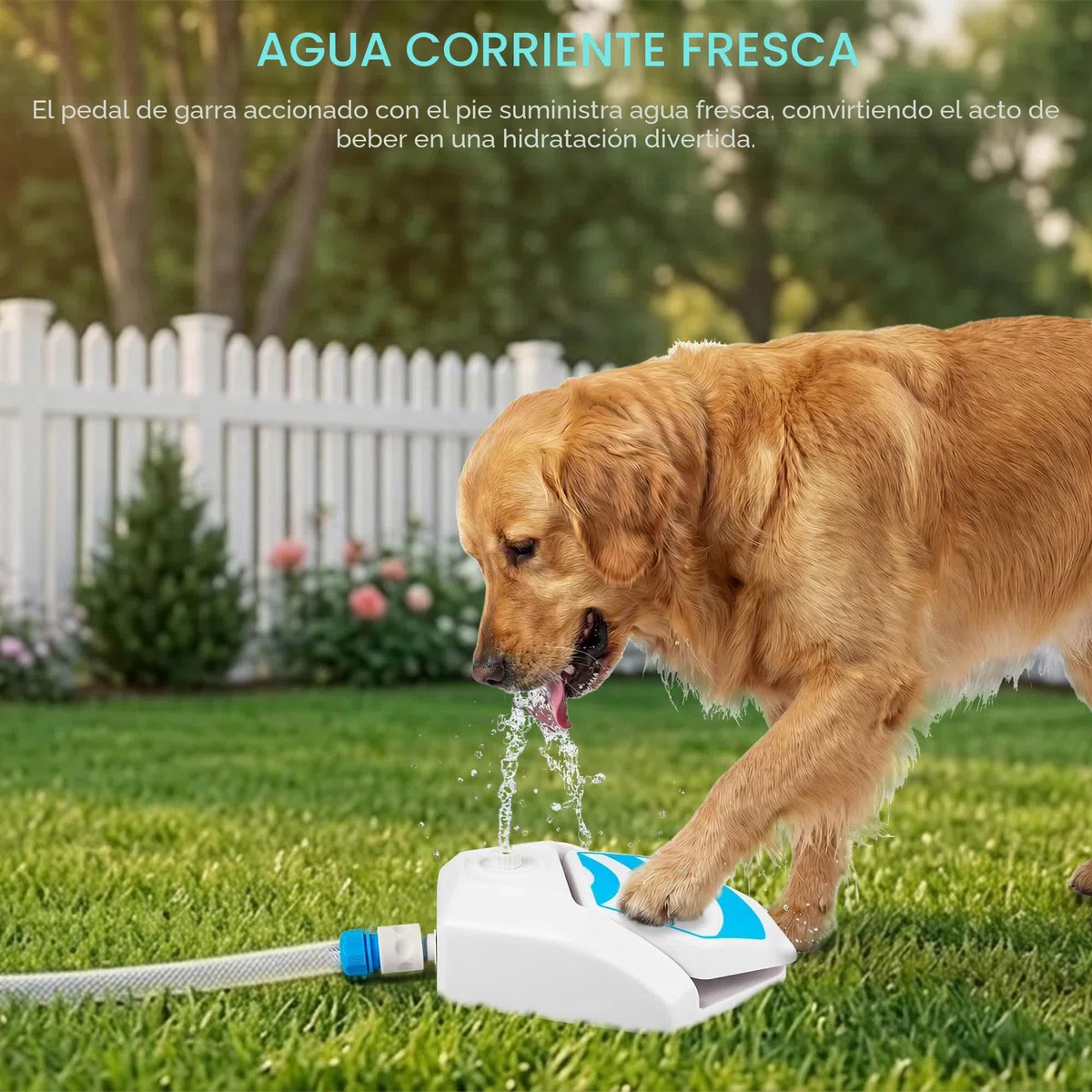 ALL FOR PAWS Fuente de Agua para Perros para Exteriores, Activada por Pata, Dispensador de Agua con Pisón, Fuente para Beber con Conector de Manguera para Jardín, Césped y Patio, Garden Water Fountain