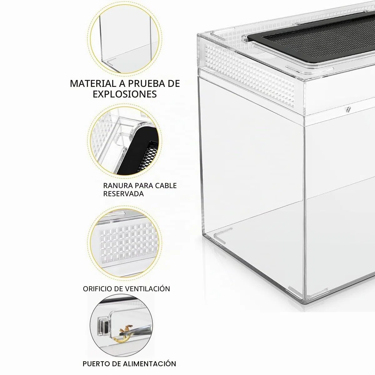 Caja de Alimentación de Insectos, Caja de alimentación para Reptiles, Estuche de Cría de Reptiles para lagartos, arañas, Ranas de Cuernos y escarabajos,Terrario para Reptil/Anfibios (12 * 7 * 9in)