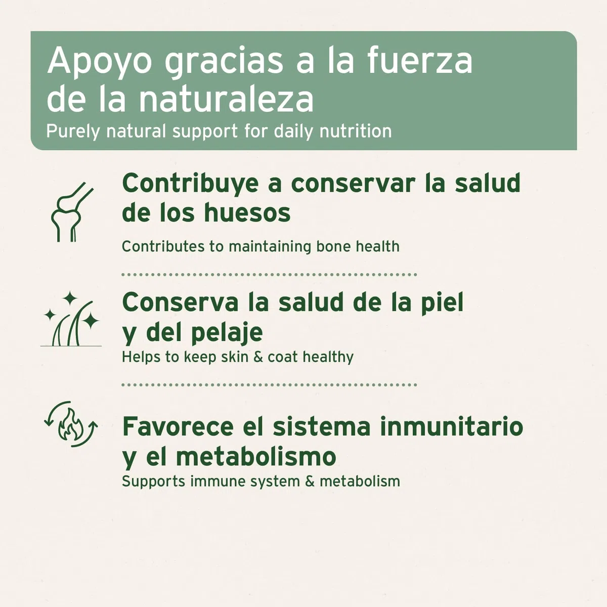 AniForte cápsulas de Aceite de salmón para Perros y Gatos 500 Unidades - valioso Aceite de Pescado Omega 3 y 6 y vitaminas para el metabolismo, la formación ósea y un Pelo Brillante