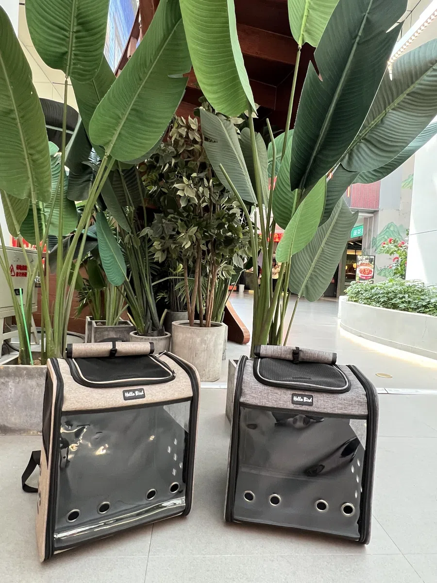 SOLAPOLLO Mochila transpirable para transporte de mascotas, mochila ligera y portátil para exteriores, impermeable, con amplia visión y sombra para el paseo, gris