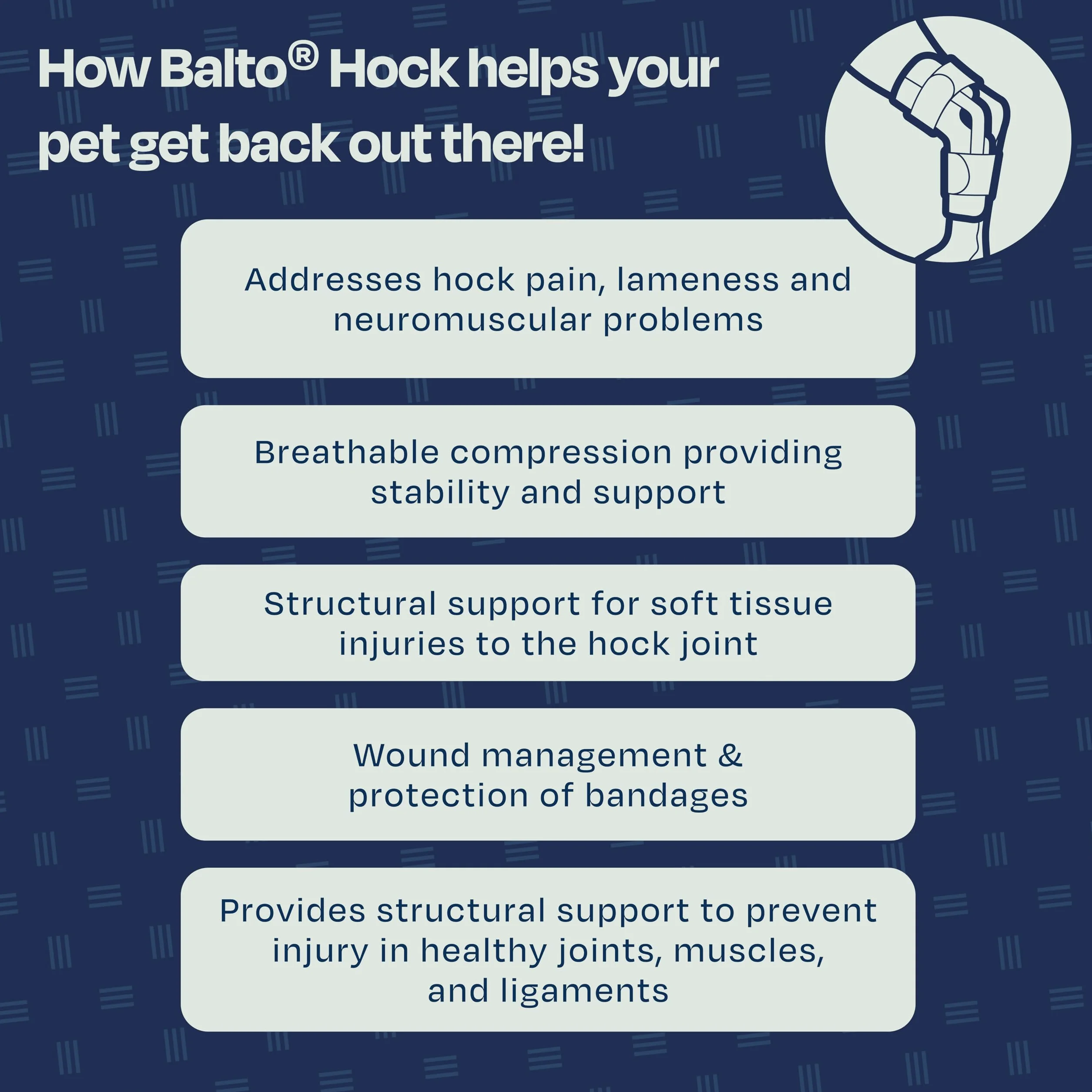 Balto Corvejón felino – Tobillera para gato – Soporte con férulas de aluminio – Pre/Post cirugía ayuda a apoyar la artritis y articulaciones inestables – Soporte de pierna trasera (extra pequeño)