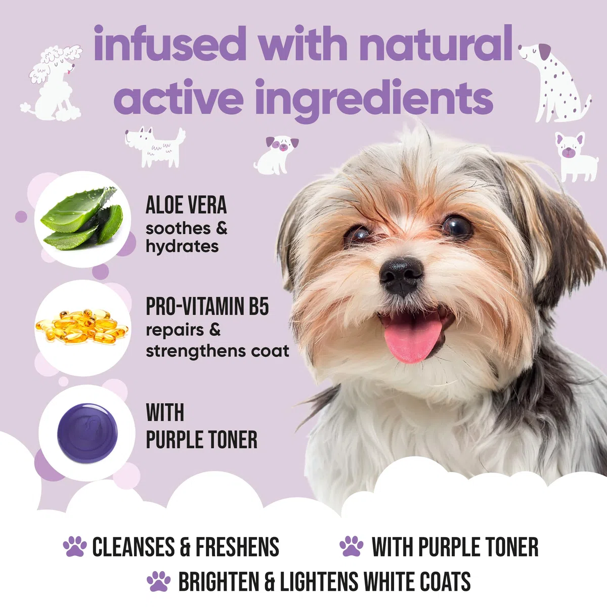 Champú blanco para perros de Buddycare – Champú aclarador y aclarador para perros – Limpieza profunda, aroma fresco – con aloe vera y provitamina B5 (5L)