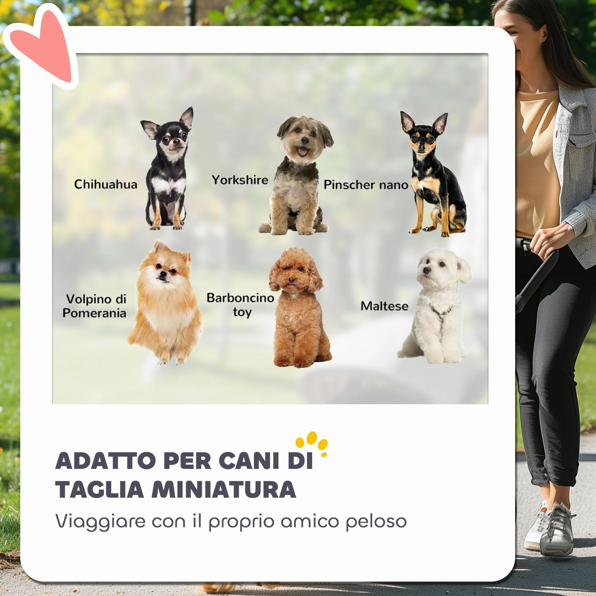 PawHut Cochecito plegable para perros pequeños con correas, bolsa portaobjetos y portavasos, cochecito para mascotas con ventanas de malla, 76 x 44 x 103 cm, negro y gris claro