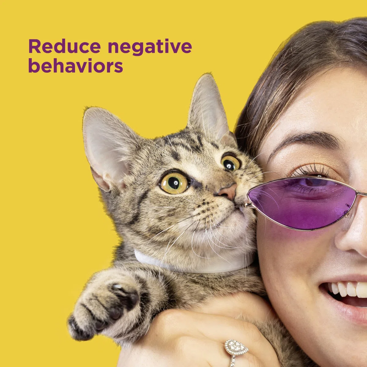 Comfort Zone Paquete de 4 collares de feromonas calmantes para gatos | Desestresa a tu gato | Ayuda a los gatos a sentirse seguros, felices y tranquilos mientras reduce los comportamientos no deseados
