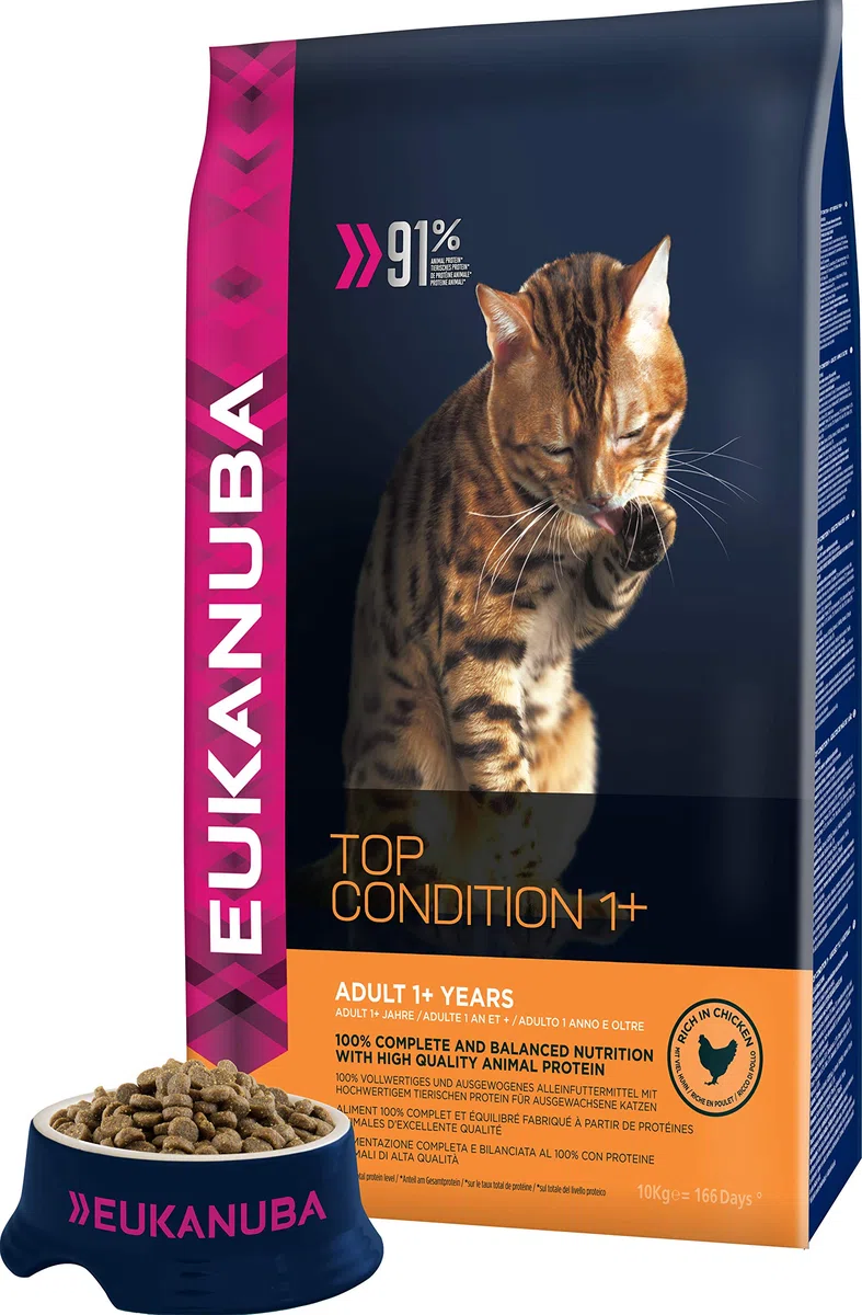 Eukanuba Alimento seco para gatos adultos, rica en pollo fresco, 10 kg