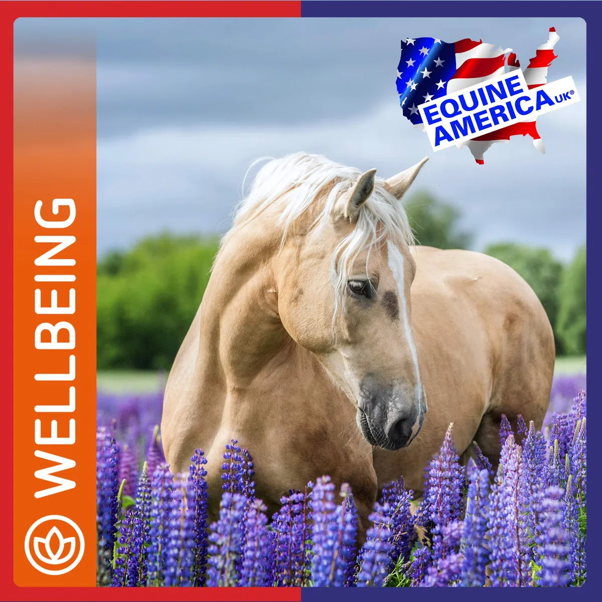 Equine America Cushins Pellets | Premium Listo para el Uso del suplemento Horse & Pony | Apoya el Equilibrio hormonal | 1 kg
