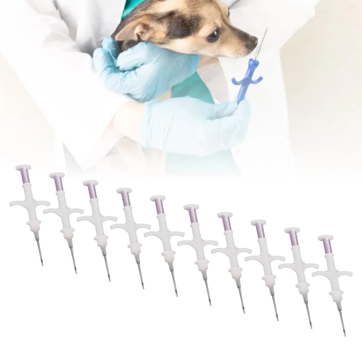 Generic Animal Microchip, Universal Pet Microchip 30 Años de Vida Efectiva para Perros Caza de Gatos Pescado Avícola para el Manejo Seguir (1.4 * 8 mm)