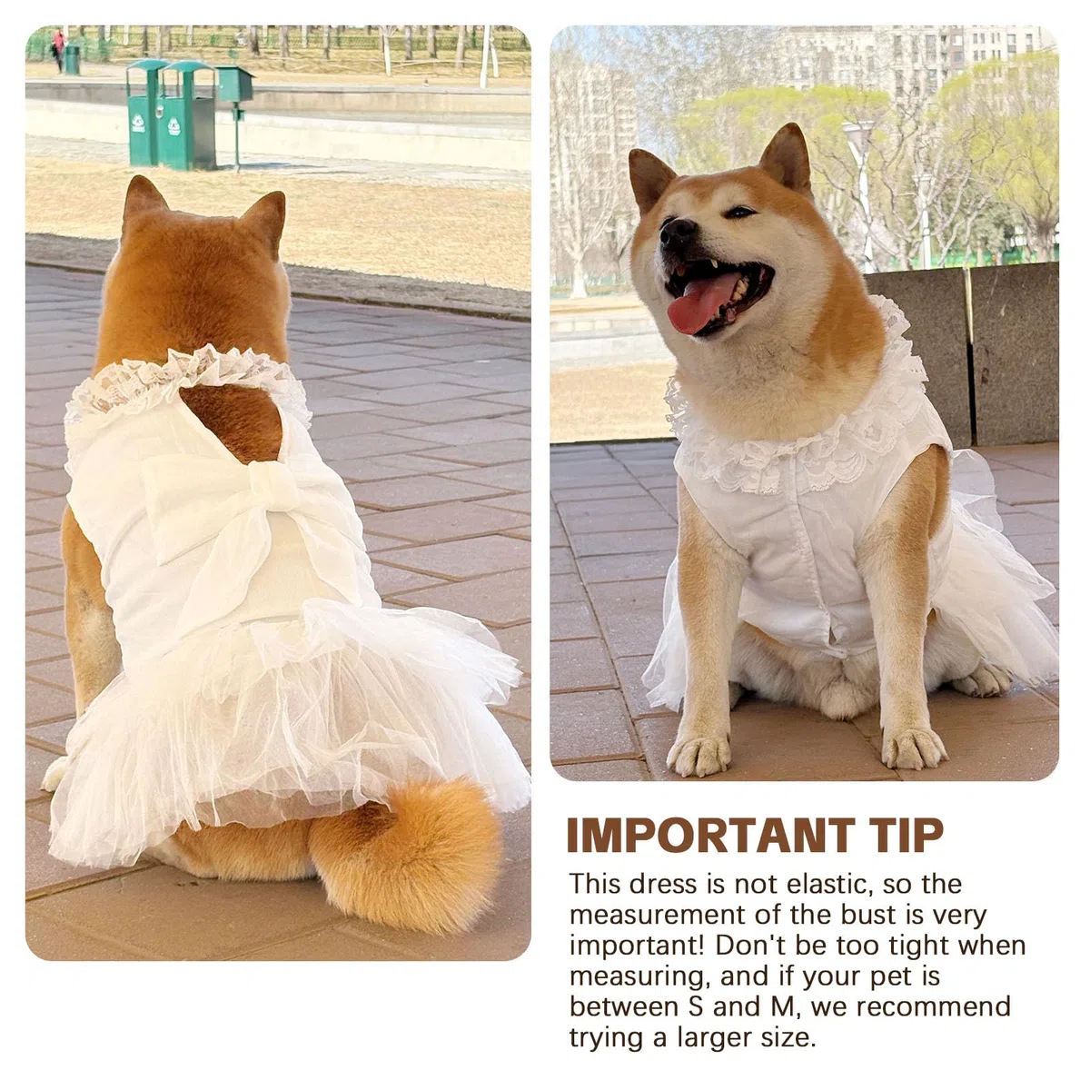 Vestidos para Perros para Perros Grandes Niña Vestido de Novia de Lujo para Perros Hermoso Disfraz de Novia para Perros con Lazo Falda de Princesa para Perros Medianos para Verano, Fiesta