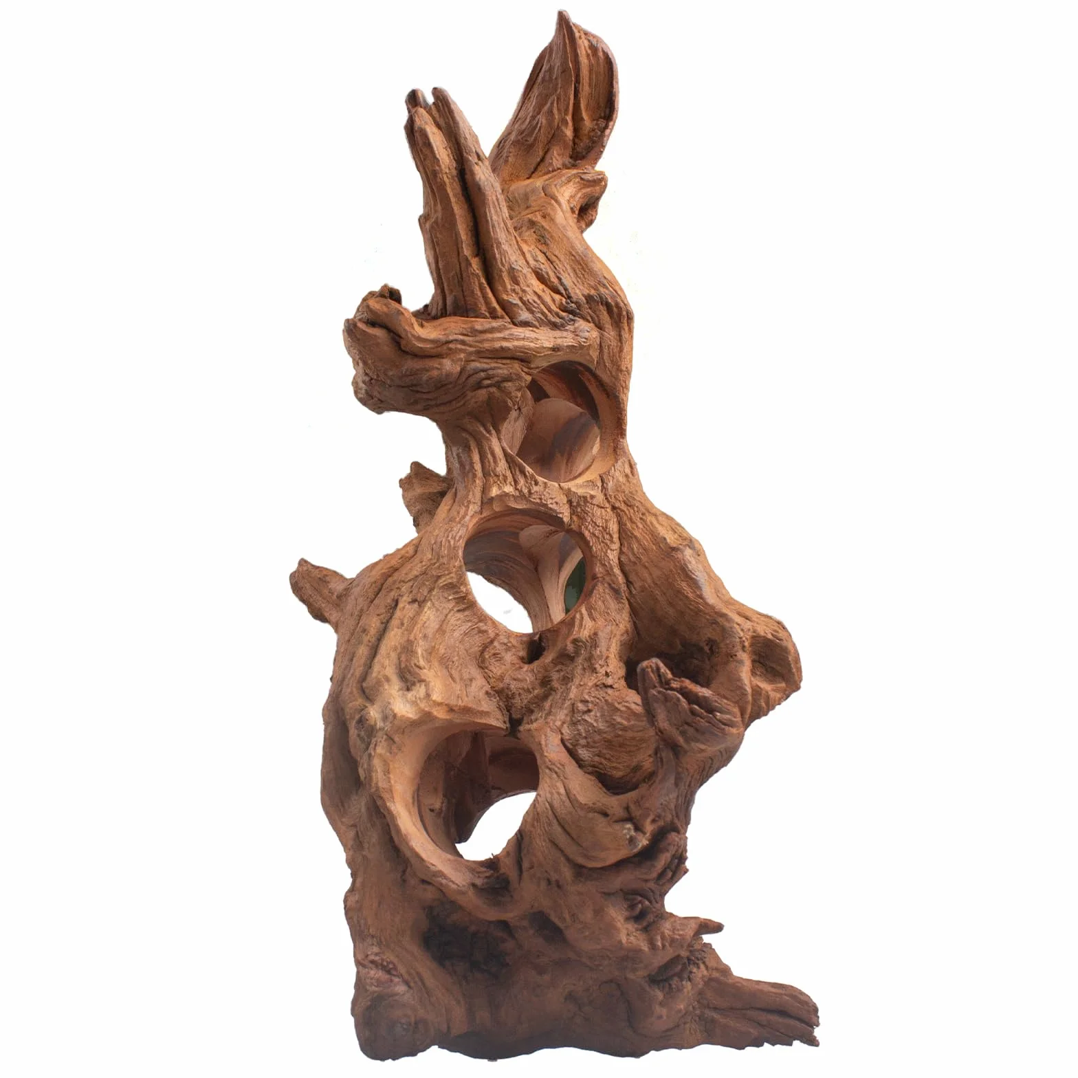 Emours - Madera de deriva porosa natural para acuario, madera de deriva para acuarismo con agujeros, túneles y escondites seleccionados a mano, paisaje duro para acuarismo, decoración para reptiles en