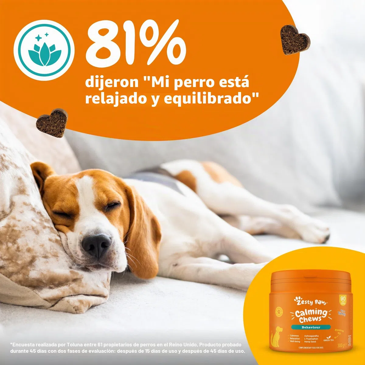 Suplemento calmante Zesty Paws para Perros | Alivio de ansiedad | Relajación y Estrés | Ashwagandha, Té Verde y L-Triptófano | Tabletas calmantes para Perros | 90 Piezas