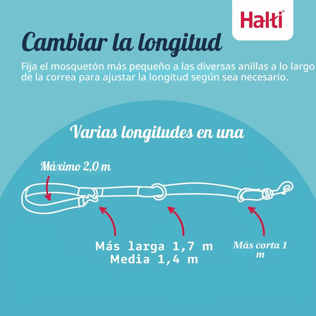 Halti Optifit - Paquete combinado de collar y correa de entrenamiento, evita que el perro tire en paseos con Halti, incluye collar de cabeza Optifit mediano y correa de doble extremo, negro, collar de
