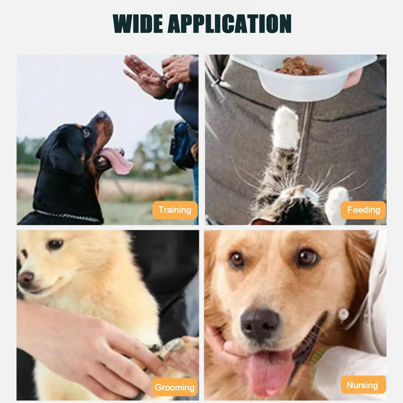 Guantes antimordeduras – Banda de piel reforzada para entrenamiento de perros grandes | Guantes antimordeduras para manejo de mascotas, cubierta antimordeduras para mascotas con agujeros y arañazos
