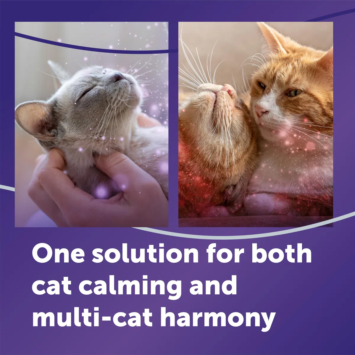 FELIWAY Optimum, Repuesto de feromonas calmantes mejoradas para 30 días, Paquete de 2