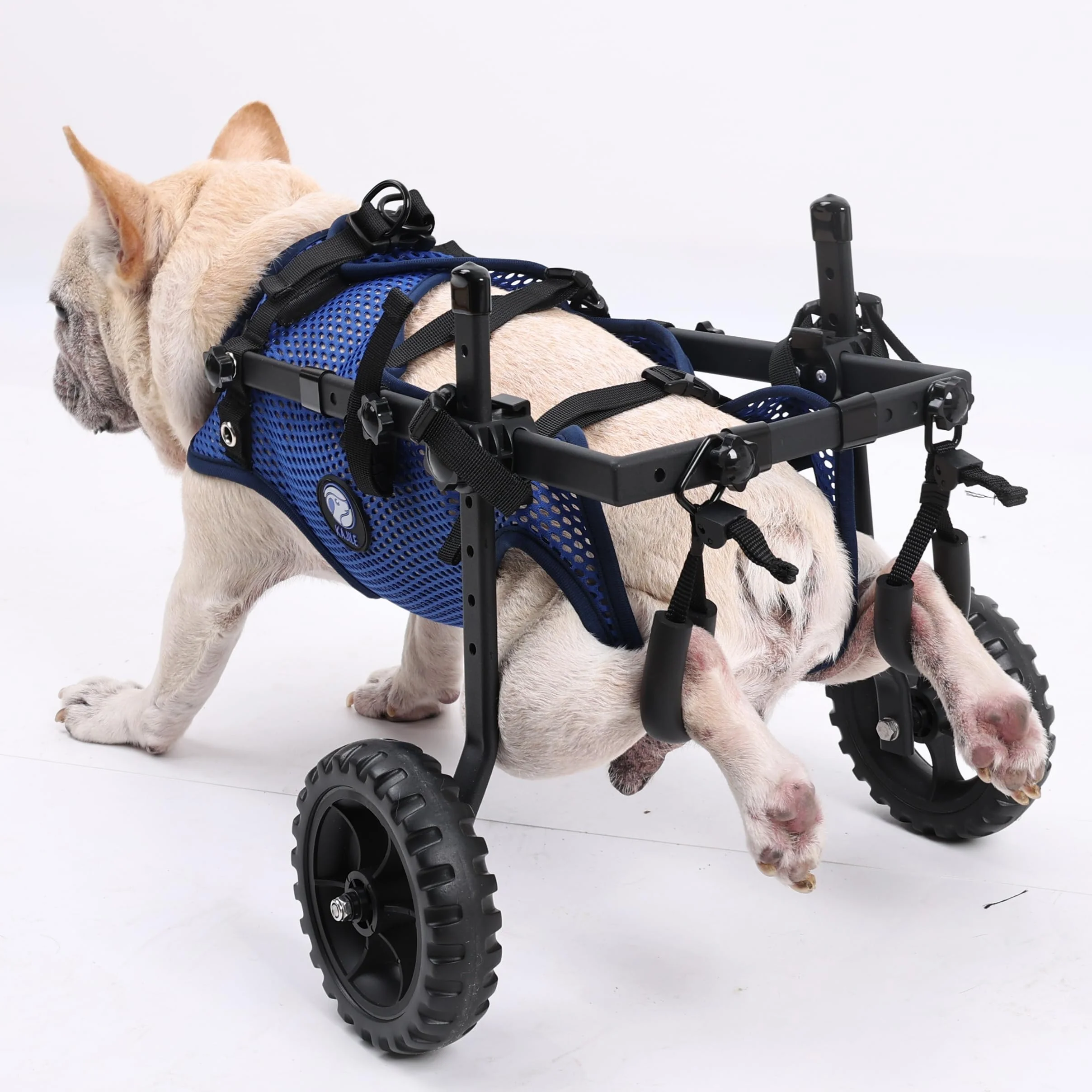 Silla de Ruedas Plegable Ajustable 2 Ruedas para Mascotas,Azul,XS | Rehabilitación de las extremidades traseras de mascotas,carrito para mascotas,soporte para las patas traseras,fácil montaje