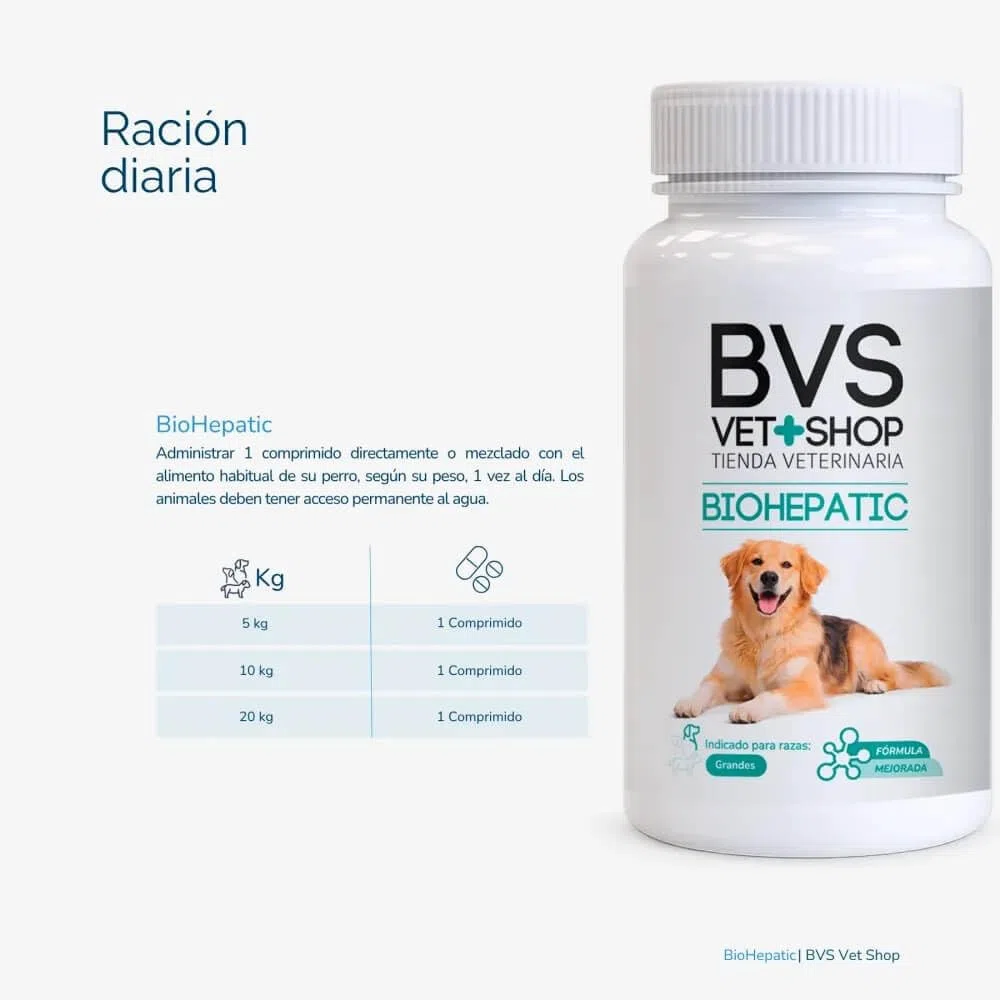 BVS Vet Shop | BioHepatic 40 Comprimidos para Perros | para la reducción de trastornos de la absorción intestinal, hepáticos, renales y cardiacos | Razas Pequeñas