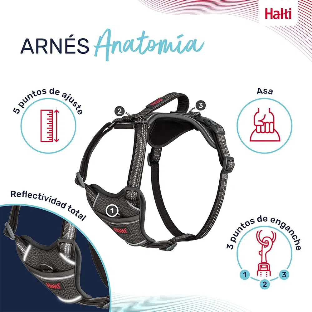 Arnés de Perro HALTI Anatomy con asa - Proporciona Libertad de Movimiento a tu Perro para Que pasee cómodamente. 3 Puntos de Enganche y Acolchado de Neopreno, Ajustable y Reflectante (Talla S, Gris)