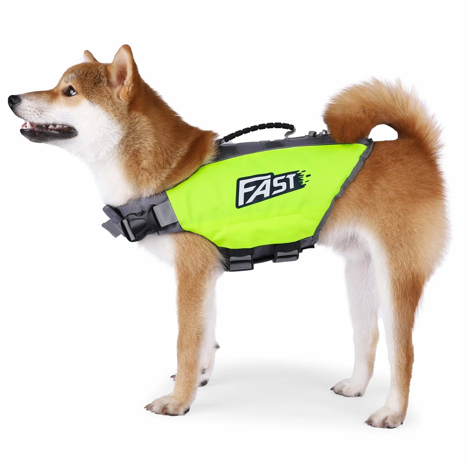 Chaleco Salvavidas Deportivo para Perros Bright Colors,Traje de Baño para Perro,Chaleco Flotante Ajustable con Asa de Rescate para Perros Pequeños,Medianos y Grandes,Verde,XL