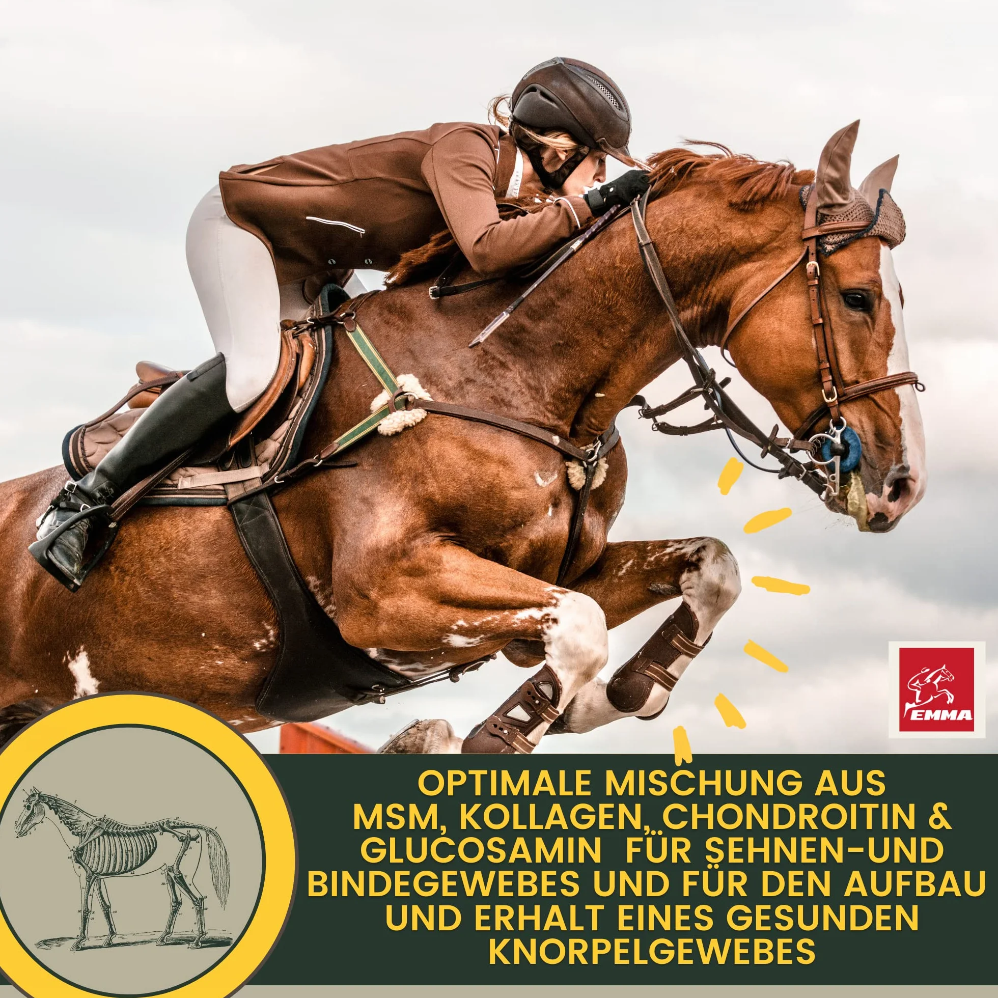 MSM para Caballos 1L Sistema Musculoesquelético Caballo Líquido en Vez de MSM Polvo I Articulaciones Tendones Ligamentos MSM con Glucosamina Condroitina Complejo Colágeno Altamente Dosificado Senior