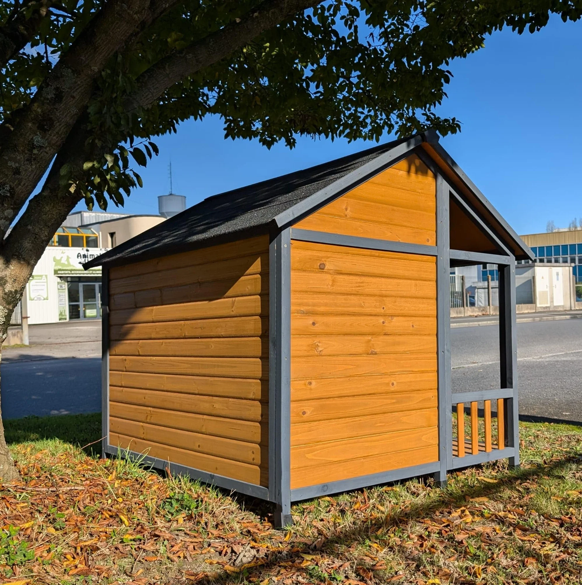 Chalet Saint-Bernard - Casita para perros, talla XXL