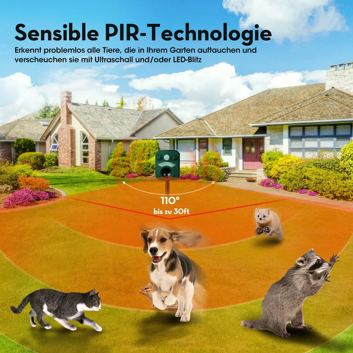 Repelente para Gatos, Ahuyentador para Gatos Ultrasonido Repelente para Palomas, Pájaros, Perros, Ratones, Zorros, 5 Modos IP44 Impermeable