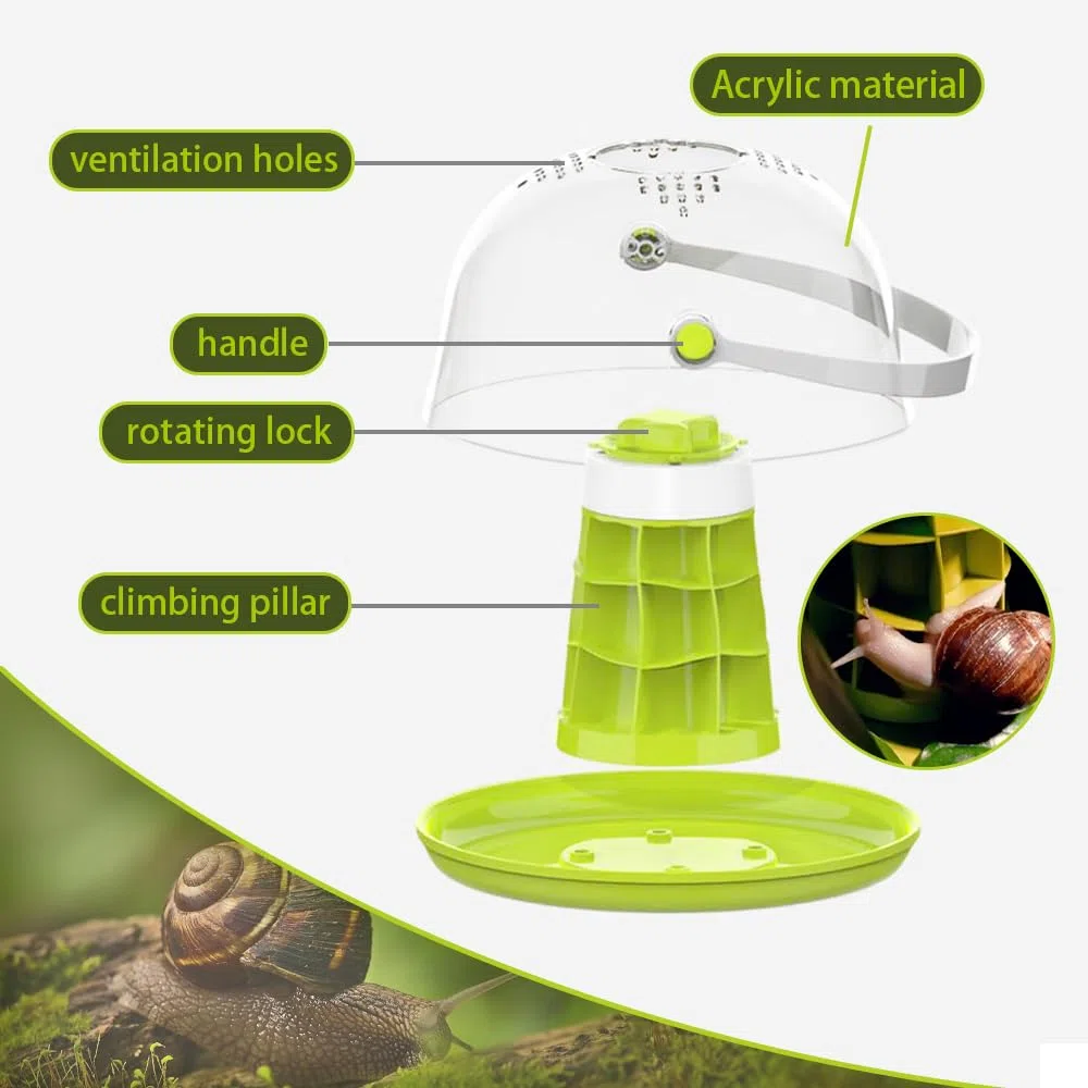 Caja de cría de terrarios de caracoles, kit de terrario redondo para iniciación de hábitat de caracoles, caja de alimentación de caracoles transparente, ideal para caracoles, escarabajos, arañas y