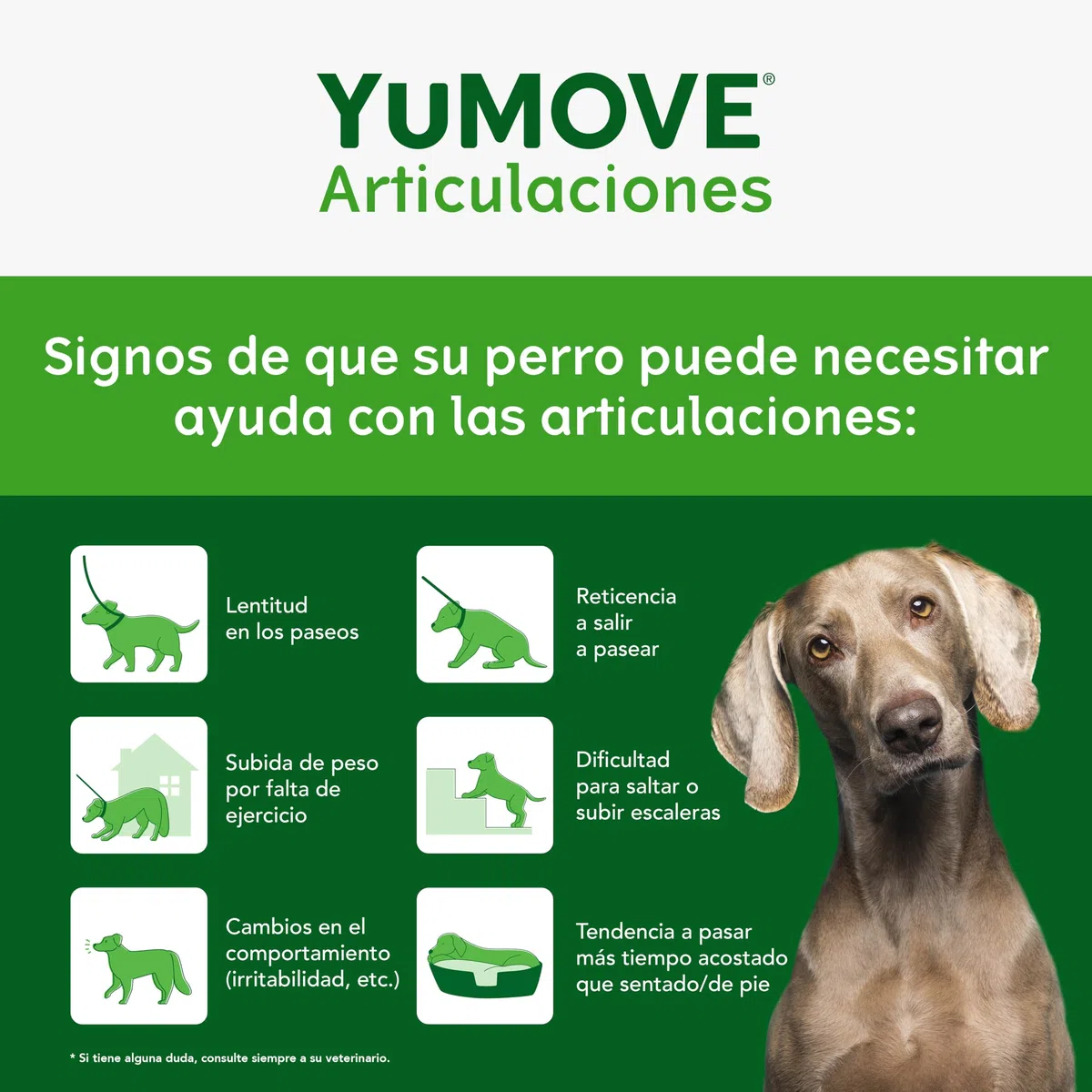 YuMOVE Condroprotector Perros 5-8 Años - 120 Masticables - Articulaciones Perro Adulto con Mejillon Labio Verde Complejo ActivEase de 150mg Cada Masticable - Refuerza Movilidad & Estrutura Articular