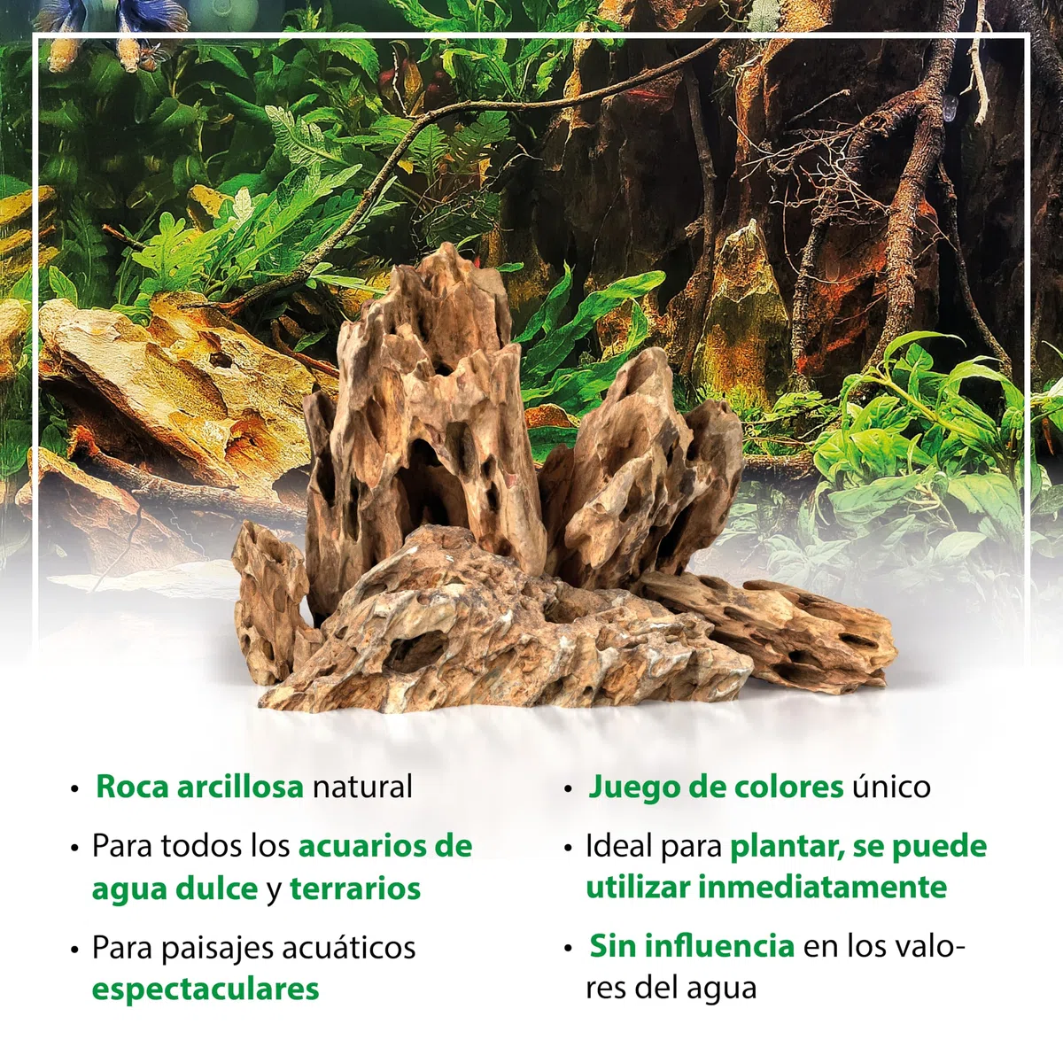 ARKA Set Rocas Dragon 10 kg mySCAPE – Piedras Naturales 10–30 cm para Nano aquascaping y paisajes creativos – aptas para acuarios Dulces pequeños – decoración plantable sin Bordes ni químicos