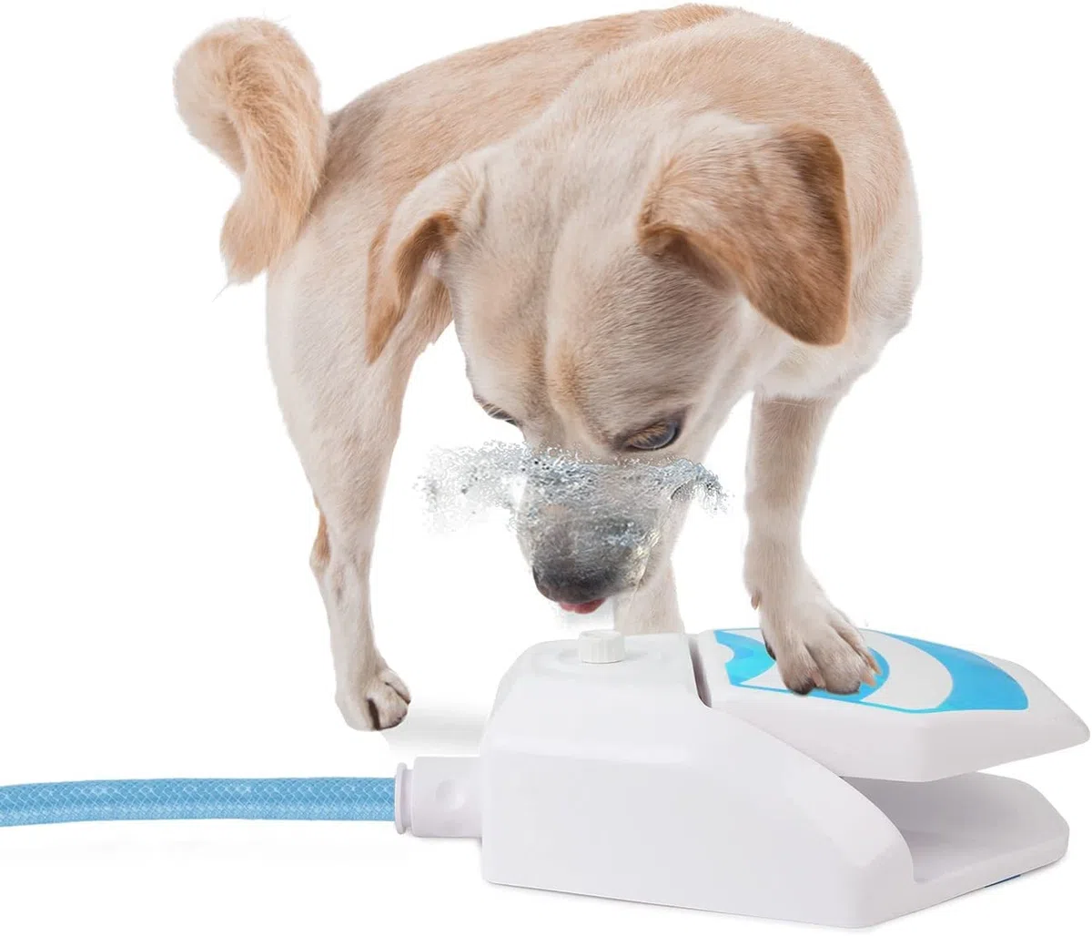 ALL FOR PAWS Fuente de Agua para Perros para Exteriores, Activada por Pata, Dispensador de Agua con Pisón, Fuente para Beber con Conector de Manguera para Jardín, Césped y Patio, Garden Water Fountain