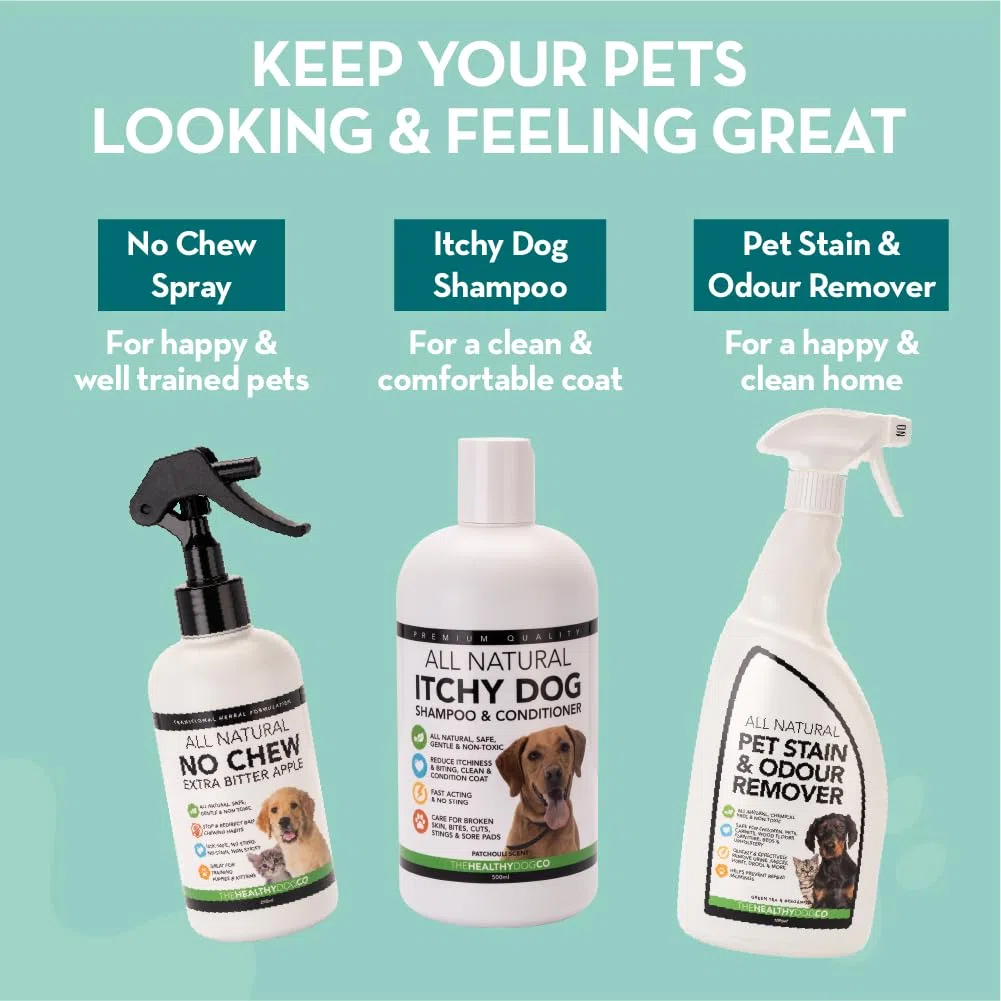 The Healthy Dog Co Eliminador de Manchas y olores de Mascotas Totalmente Natural para Perros y Gatos | Mata gérmenes, Elimina vómitos, orina, heces, Baba, olores | 1 litro