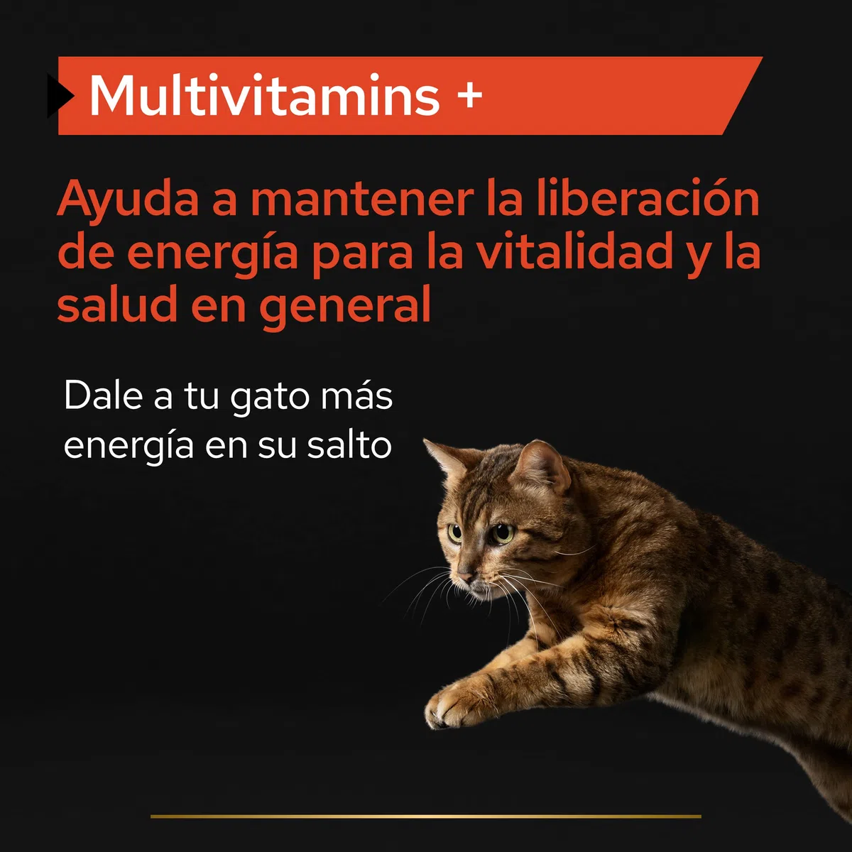 Purina Pro Plan Suplemento Gato Multivitaminas, energía, vitalidad, Vitamina B, en Polvo, 4 paquetes de 60g