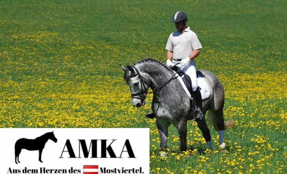 Hackamore Nylon Ajustable, con Base de Piel sintética, Talla única