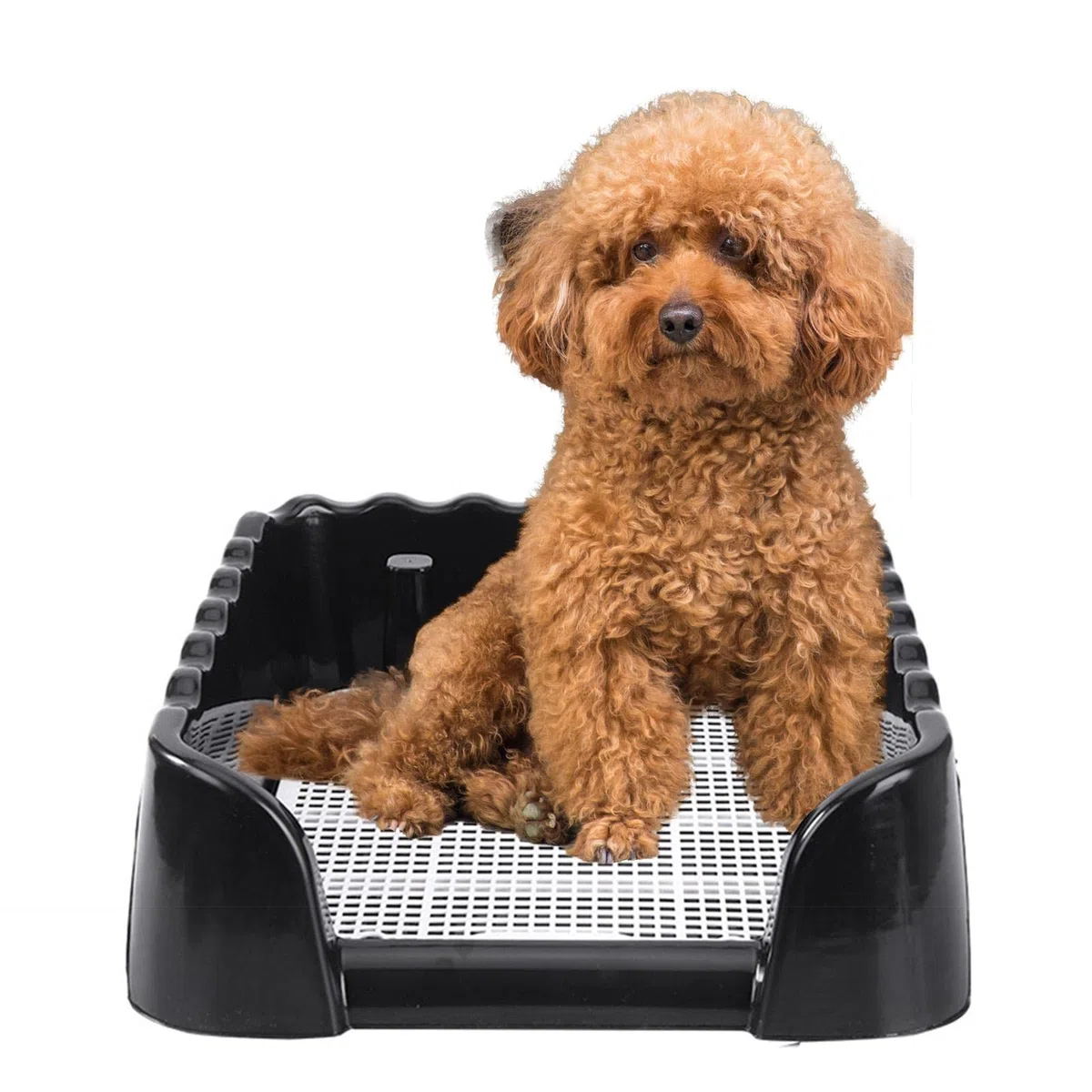 Milageto Inodoro para Perros y Mascotas, Bandeja para Orinal de Entrenamiento para Cachorros, Caja de Arena, Entrenador para Orinal, Soporte para, 40cmx40cmx14cm